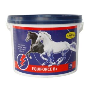 EquiForce B+ 1kg